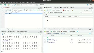 Proyectos y SCRIPTS R en R Studio errores comunes