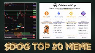 Dog Top 20 Ranking Vs 32M Dead Memecoins