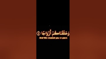 الم نجعل الأرض مهادا / سورة النبأ / عبدالرحمن مسعد