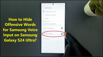 How to Hide Offensive Words for Samsung Voice Input on Samsung Galaxy S24 Ultra?