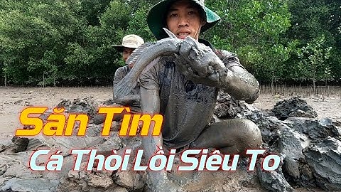 Cùng Cha Đào Hang Bắt Cá Thòi Lồi Biển Kiếm Ăn Mùa Dịch | Gia Đình Cần Giờ |