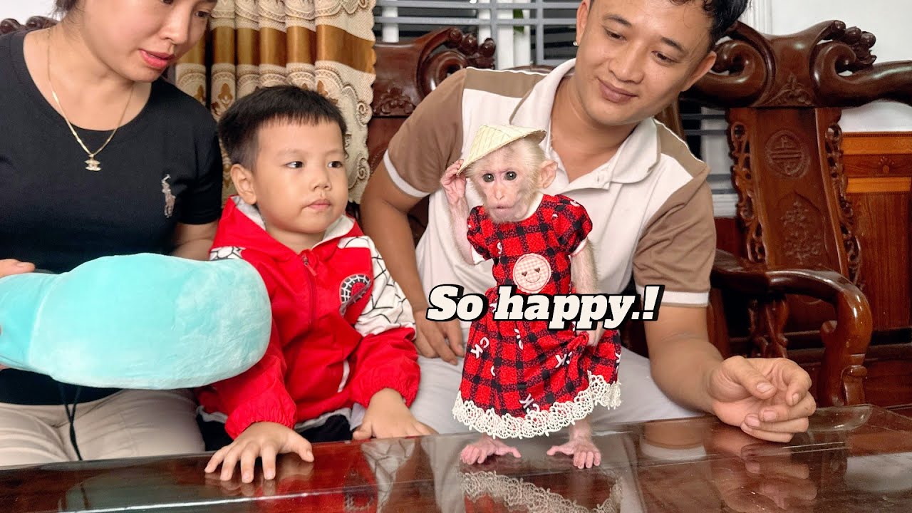 Baby monkey Lulu's overwhelming happiness when she first meets her mother and brother.