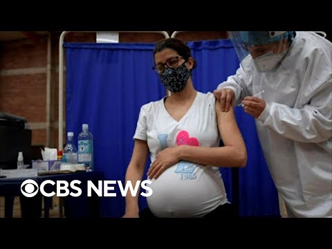 CDC says COVID-19 vaccines are safe for pregnant women.