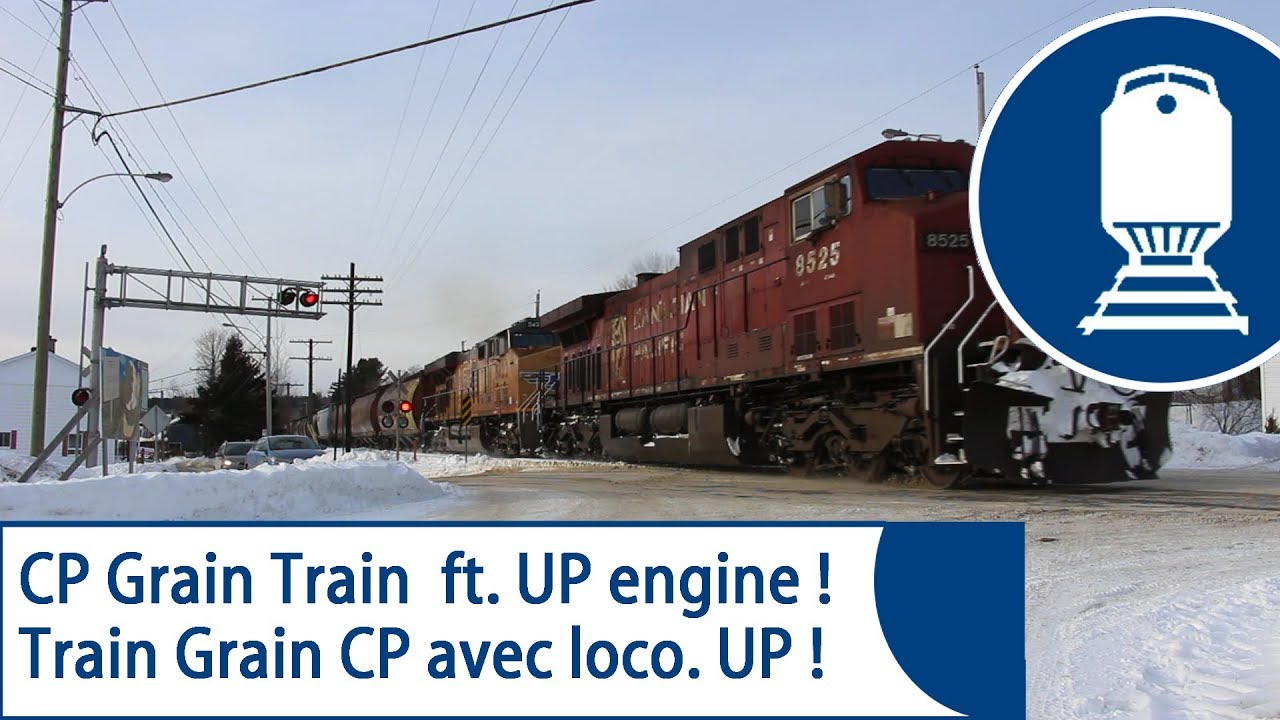 *RARE* Union pacific engine in Eastern Canada ! - CP Grain train on the QGRY