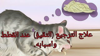 علاج الترجيع عند القطط والاسعافات الاوليه للعلاج) + اسبابه