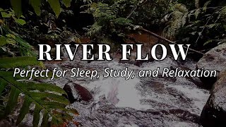 River Flow | Subtle Whispering of Water in a Forest Creek - 1+ Hours ASMR