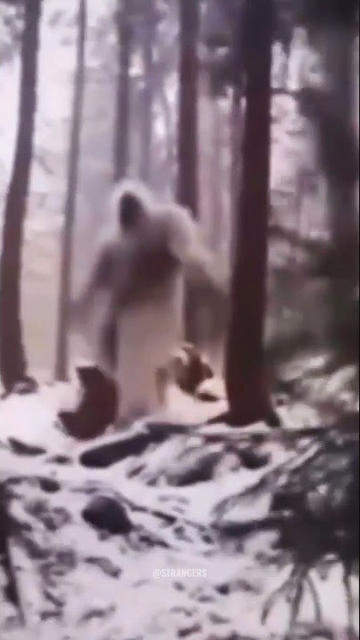 REAL YETI / BIG FOOT CAUGHT ON CAMERA😱😱 #shorts #yeti #bigfoot #scary #alien #strangers
