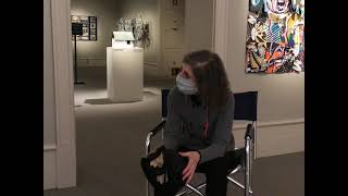 Interview with Junior Interpreter Sasha and Artist Amy Silberkleit by Albany Institute of History & Art 43 views 3 years ago 15 minutes