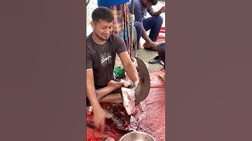 Amazing big fish cutting skills #fish #viral #shorts #fishing #youtubeshorts #fishcutting #foryou