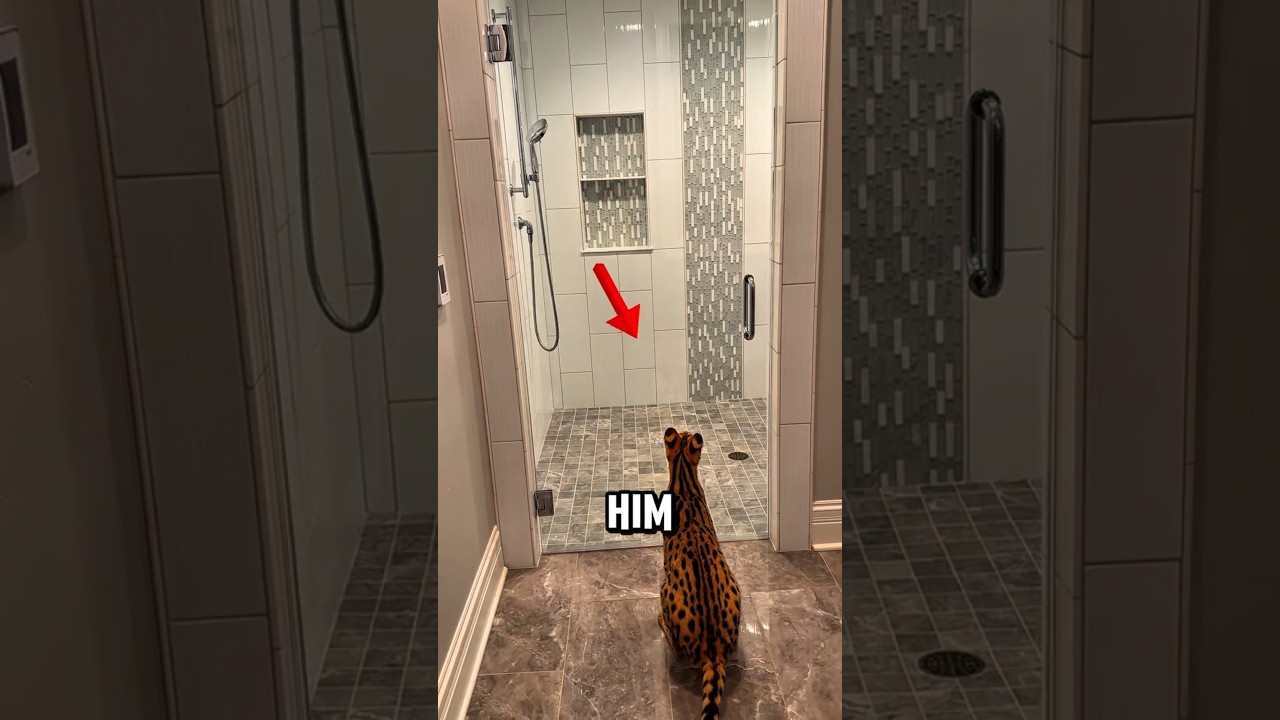 This woman doesn't know what's going to happen! 