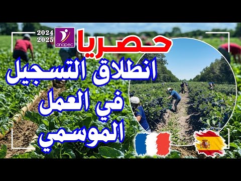 انطلاق التسجيل في عقود عمل موسمية في الفلاحة عن طريق وكالة انابيك تسجيل الان 2024 2025