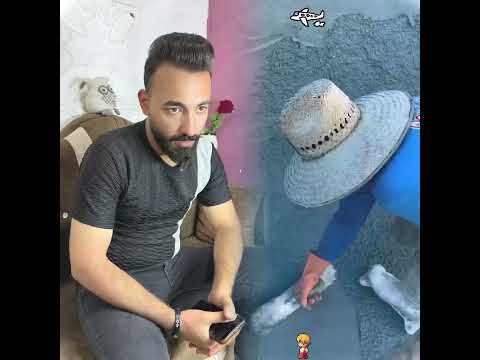 زوجي بطلوا من شغل ويريد فلوس شوفوا صار #سيف_سعد #تومه_المياحيه #acting #foryou #funny #shorts