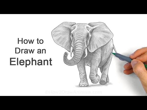 How to Draw