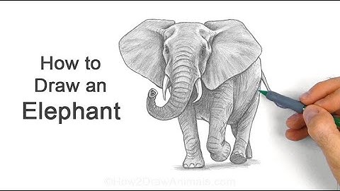 How to Draw an Elephant