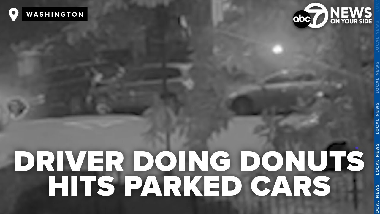 Driver caught on camera damaging over a dozen vehicles as neighbors ...