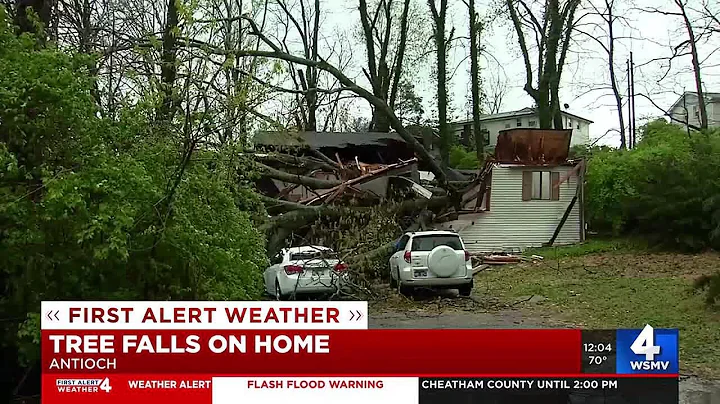 Brother survive massive tree slicing through Antioch home