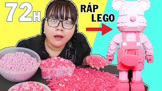 72H &quot;Vật Vã&quot; Ráp LEGO Bearbrick Gấu Dâu LOTSO Của Chị Cà Chua 🍅