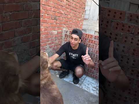 كونتر عاوز يتجوز چوليا