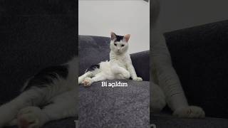 Bi Açıldım Bi Kapandım Bi Üzüldüm Bi De Güldüm Hahhayt Im