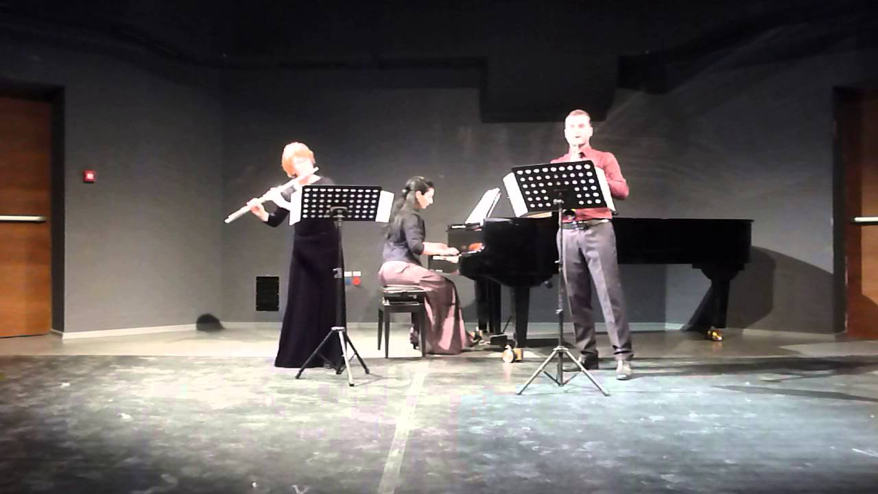 Sean Michael Salamon-Trio for flute,clarinet and piano 1st.mov.-Ad libitum trio