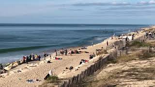 Lacanau: les vacances de la Toussaint à la plage