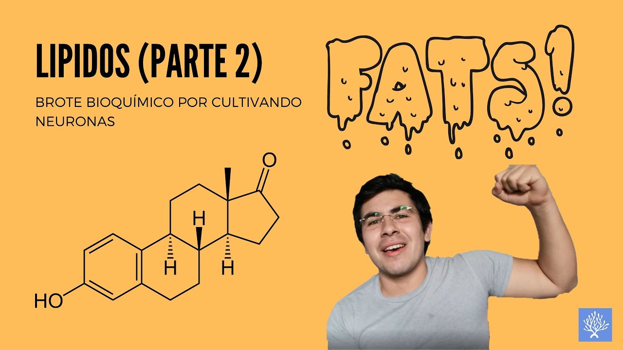 Generalidades de lípidos (Parte 2). YouTube