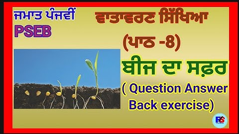 PSEB | Class 5 | ਵਾਤਾਵਰਨ ਸਿੱਖਿਆ (EVS) | Lesson 8 | Beej Da Safar ਬੀਜ ਦਾ ਸਫ਼ਰ