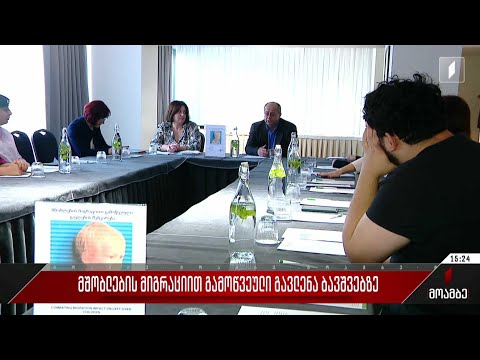 მშობლების მიგრაციით გამოწვეული გავლენა ბავშვებზე