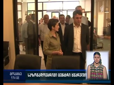 წულუკიანმა სოფელ შილდაში საზოგადოებრივი ცენტრი გახსნა