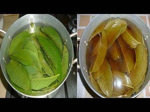 Chỉ nhờ 3 loại lá này khiến mỡ bụng, mỡ thừa lâu năm cũng tự động biến mất nhanh chóng