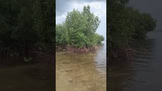 Gili Lawang is a Virgin Island