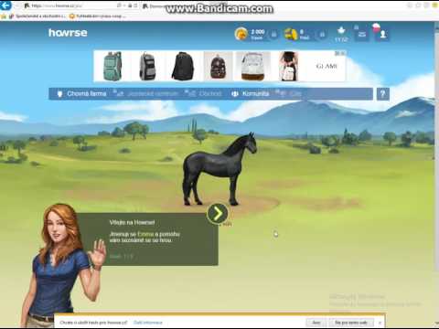 Equus Hack at HOWRSE , earn equus every day