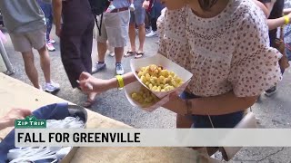 Zip Trip: History of Fall for Greenville