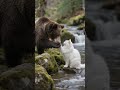 A pact was made in the heart of the forest.