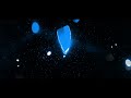 Xavi Yentin - iSkhalo (feat. Zwesh & Almighty) | Amapiano Mp3 Song