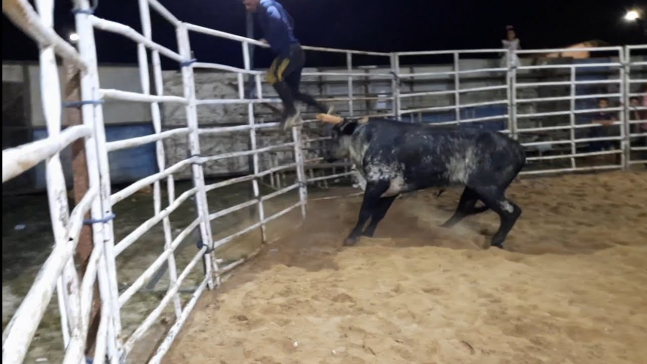 2°semana de tourada 2 irmãos em cipó de leite
