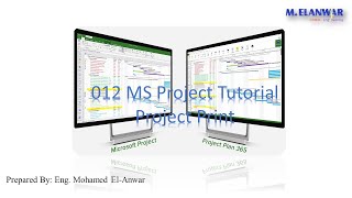 012 MS Project Tutorial-Project Printing
