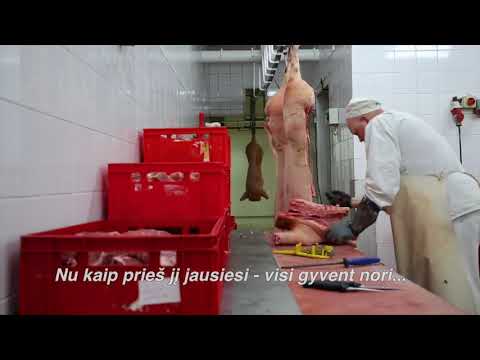 Video: Mėsininkas