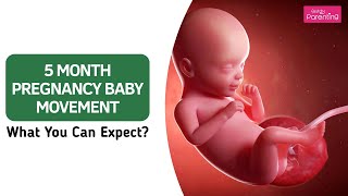 5 Month Pregnancy Baby Movement - What You Can Expect