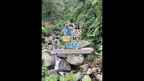 Tugas Akhir Presentasi Algoritma dan Pemograman I