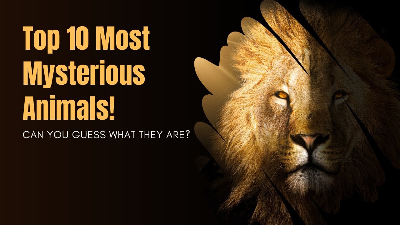 Top 10 Rarest Animals on Earth - YouTube