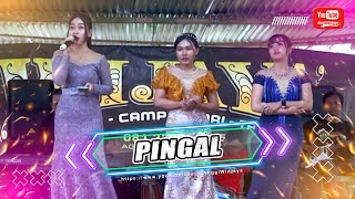 Download Lagu PINGAL - ALL ARTIS - WIJAYA ENTERTAINMENT MP3