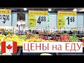 ЦЕНЫ НА ПРОДУКТЫ В Канаде | COSTCO, WALMART, FOOD BASICS | ЧТО МЫ ЕДИМ В КАНАДЕ? Иммиграция в Канаду