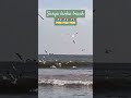 Surya lanka beach