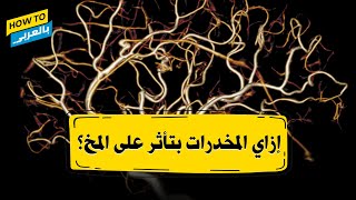 إزاي المخدرات بتأثر على المخ؟