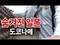 일본 숨겨진 도자기 마을 🇯🇵 도코나메 가봤습니다