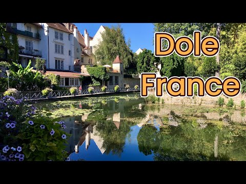 Fun Things to Do in Dole | Travel Guide (2024) | Best Places to Visit