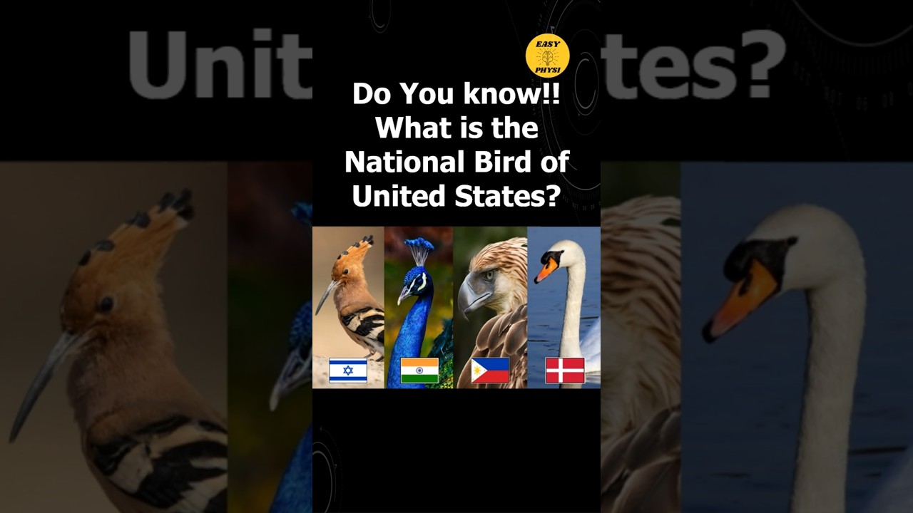 What is the National Bird of US - Interesting Facts- 292