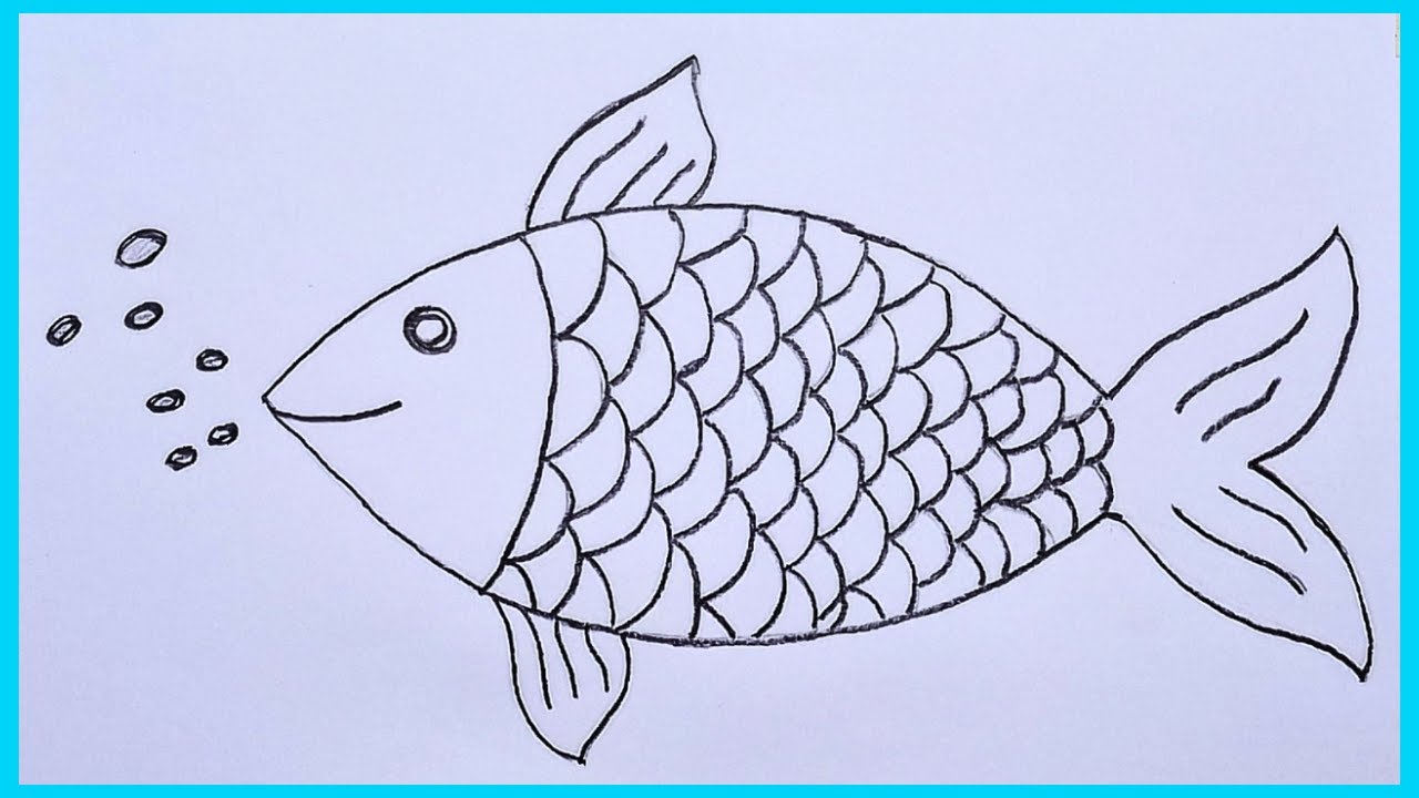 Fish Drawing How to draw a simple fish step by step YouTube