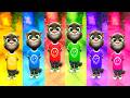 Talking Tom Cat Color OUTFIT Effect 6 Clones Same Talking Tom Cat Color OUTFIT Effect 6 Clones Same